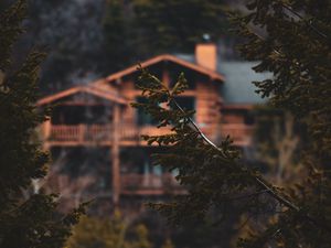 Preview wallpaper branches, trees, house, needles, wet, blur