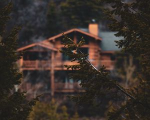 Preview wallpaper branches, trees, house, needles, wet, blur