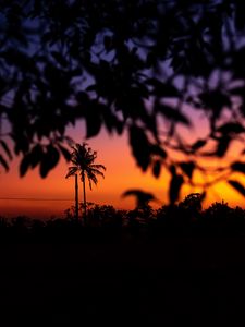 Preview wallpaper branches, trees, outlines, sunset, dark, sky, gradient