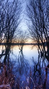 Preview wallpaper branches, trees, river, autumn, sunset, horizon