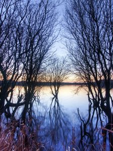Preview wallpaper branches, trees, river, autumn, sunset, horizon