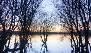 Preview wallpaper branches, trees, river, autumn, sunset, horizon