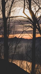 Preview wallpaper branches, trees, sunset, mountains, fog