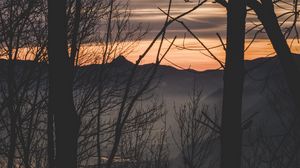 Preview wallpaper branches, trees, sunset, mountains, fog
