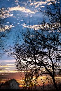 Preview wallpaper branches, trees, sunset, evening, dusk, sky, clouds, house, slope