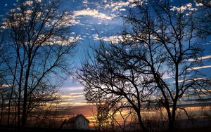 Preview wallpaper branches, trees, sunset, evening, dusk, sky, clouds, house, slope