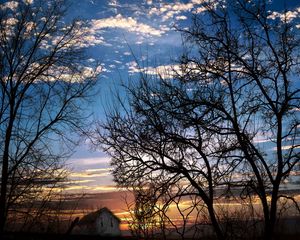 Preview wallpaper branches, trees, sunset, evening, dusk, sky, clouds, house, slope