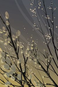 Preview wallpaper branches, vector, willow, flowers, art, flowering