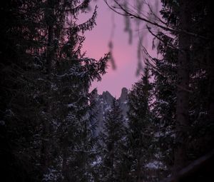 Preview wallpaper branches, winter, sky, view