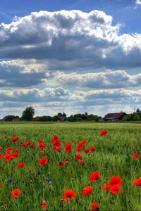 Preview wallpaper brandenburg, field, poppies, sky, clouds