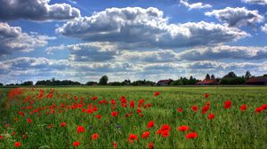 Preview wallpaper brandenburg, field, poppies, sky, clouds