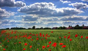 Preview wallpaper brandenburg, field, poppies, sky, clouds