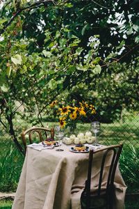 Preview wallpaper breakfast, laying, table, summer, picnic, nature