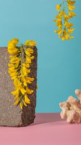 Preview wallpaper brick, flowers, coral, still life, blue, pink