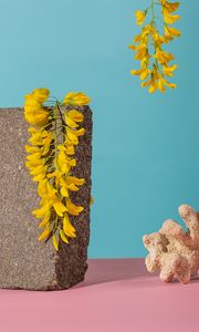 Preview wallpaper brick, flowers, coral, still life, blue, pink