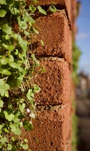 Preview wallpaper bricks, plants, leaves, blur