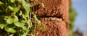 Preview wallpaper bricks, plants, leaves, blur