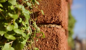 Preview wallpaper bricks, plants, leaves, blur
