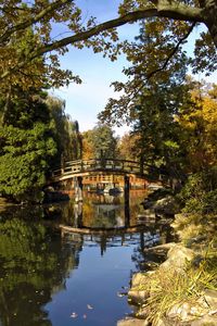 Preview wallpaper bridge, arch, pond, trees, coast, stones, shadows