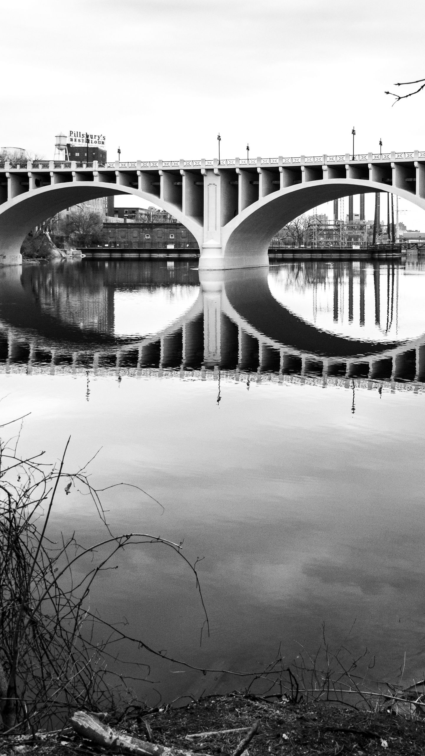 1440x2560 Wallpaper bridge, architecture, river, trees, bw