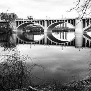 Preview wallpaper bridge, architecture, river, trees, bw