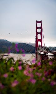 Preview wallpaper bridge, architecture, water, construction, flowers