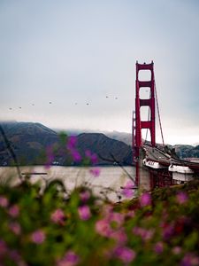 Preview wallpaper bridge, architecture, water, construction, flowers