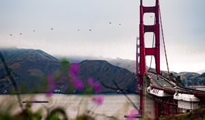 Preview wallpaper bridge, architecture, water, construction, flowers
