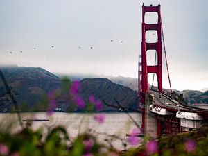 Preview wallpaper bridge, architecture, water, construction, flowers