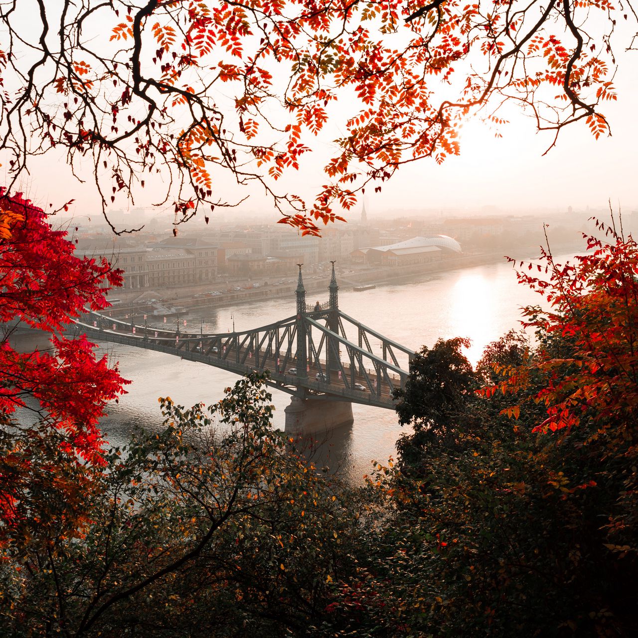 1280x1280 Wallpaper bridge, autumn, city, citadella, budapest, hungary