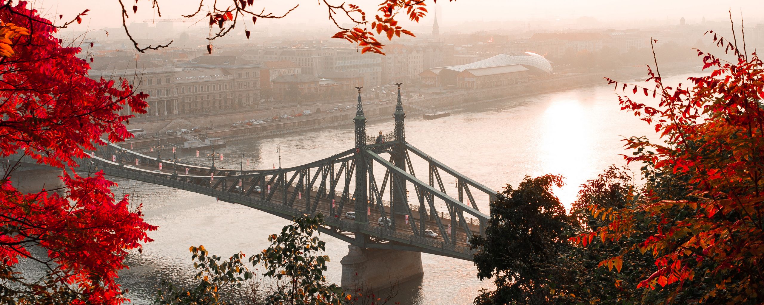 2560x1024 Wallpaper bridge, autumn, city, citadella, budapest, hungary