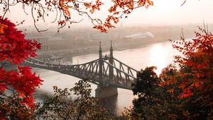 Preview wallpaper bridge, autumn, city, citadella, budapest, hungary