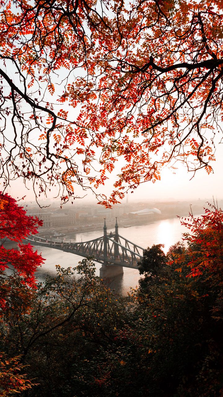 720x1280 Wallpaper bridge, autumn, city, citadella, budapest, hungary
