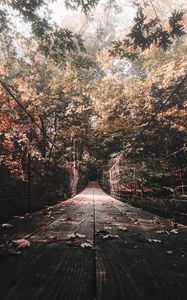 Preview wallpaper bridge, autumn, foliage