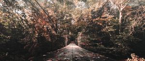 Preview wallpaper bridge, autumn, foliage