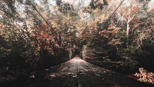Preview wallpaper bridge, autumn, foliage