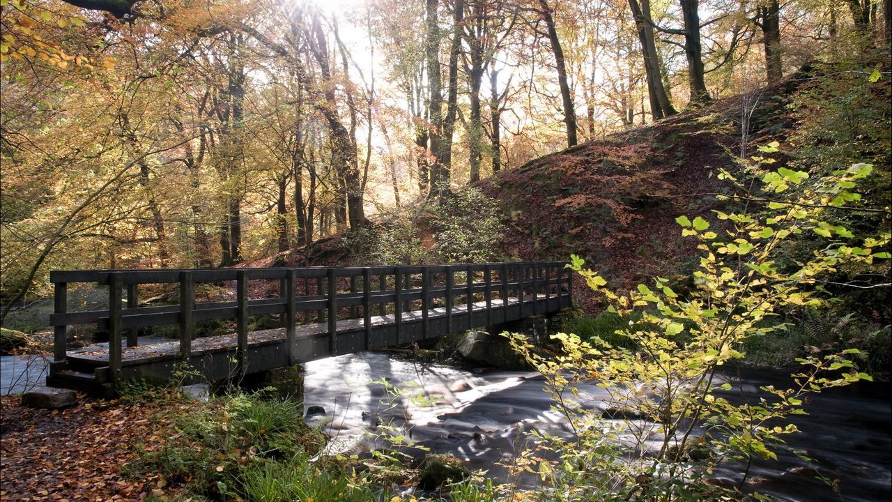 Wallpaper bridge, autumn, wood, sun, gleam, river