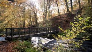 Preview wallpaper bridge, autumn, wood, sun, gleam, river