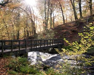 Preview wallpaper bridge, autumn, wood, sun, gleam, river