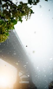 Preview wallpaper bridge, blizzard, fog, bird