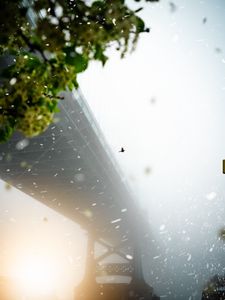 Preview wallpaper bridge, blizzard, fog, bird