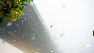 Preview wallpaper bridge, blizzard, fog, bird