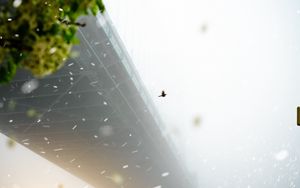 Preview wallpaper bridge, blizzard, fog, bird