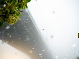 Preview wallpaper bridge, blizzard, fog, bird
