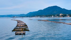 Preview wallpaper bridge, boards, sea, mountains