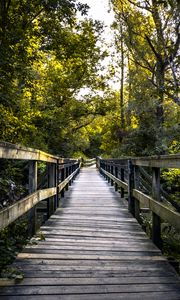 Preview wallpaper bridge, boards, tree, trees