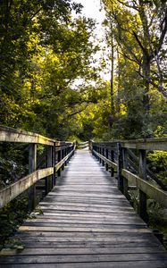 Preview wallpaper bridge, boards, tree, trees