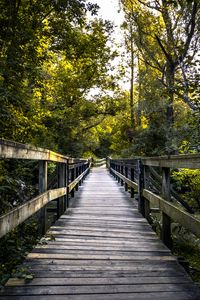 Preview wallpaper bridge, boards, tree, trees