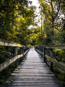 Preview wallpaper bridge, boards, tree, trees