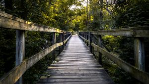 Preview wallpaper bridge, boards, tree, trees